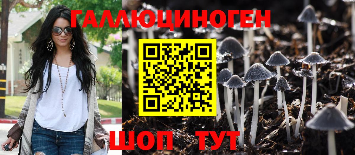 Галлюциногенные грибы Psilocybe Нефтекамск